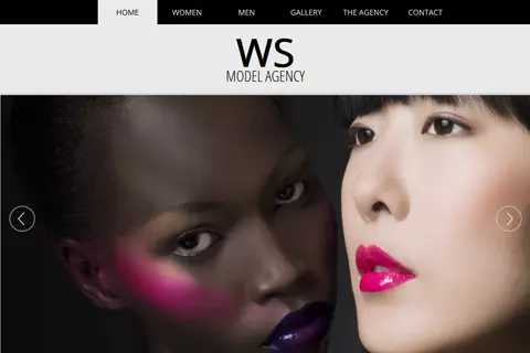 WS Agency