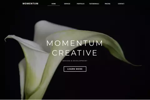 Momentum Creative