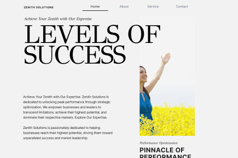Zenith Solutions