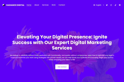 Radiance Digital Marketing Agency